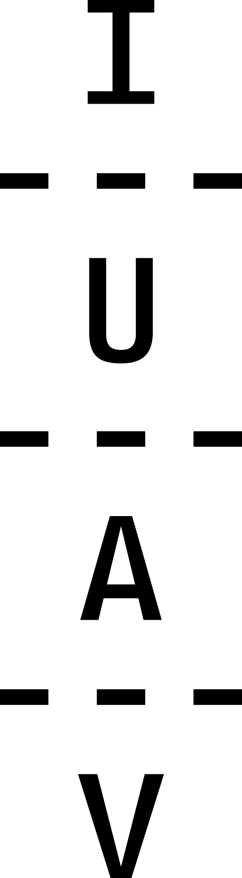 IUAV