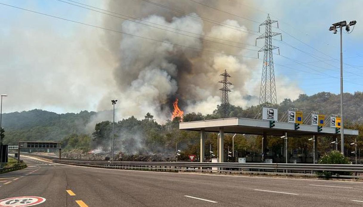 L'incendio del luglio 2022 sul Carso, fino al casello autostradale italo-sloveno.